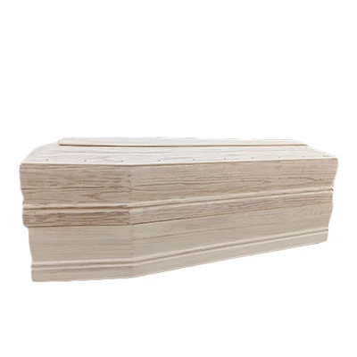 Denmisɛnw ka Lɔgɔ Transport Coffin